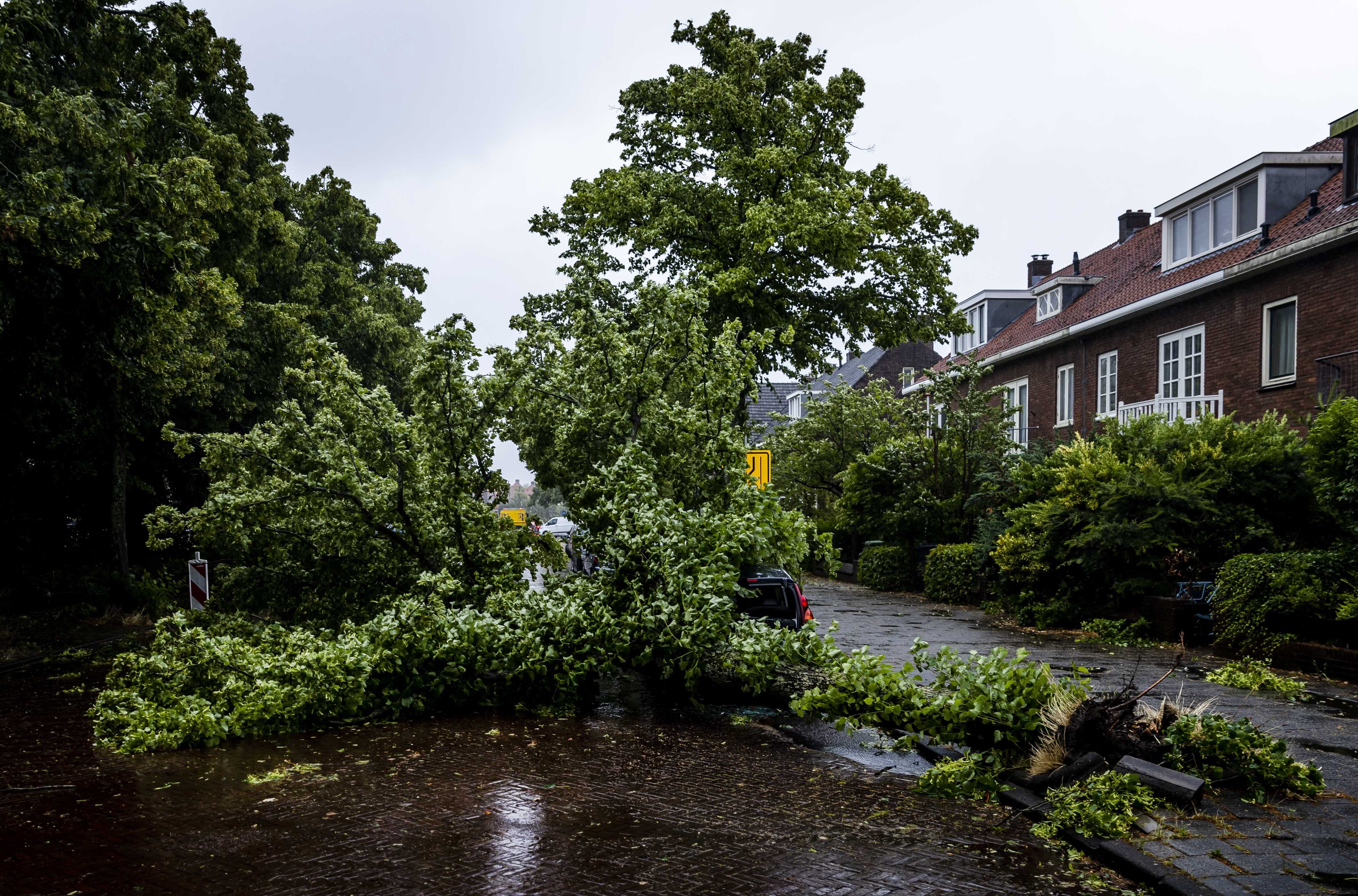 Impacto de la tormenta &#039;Poly&#039; en la ciudad neerlandesa de Haarlem