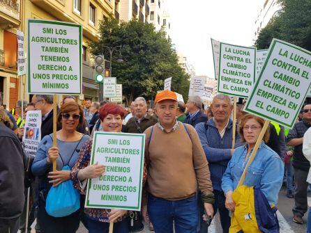 Manifestantes en la tractorada convocada en València