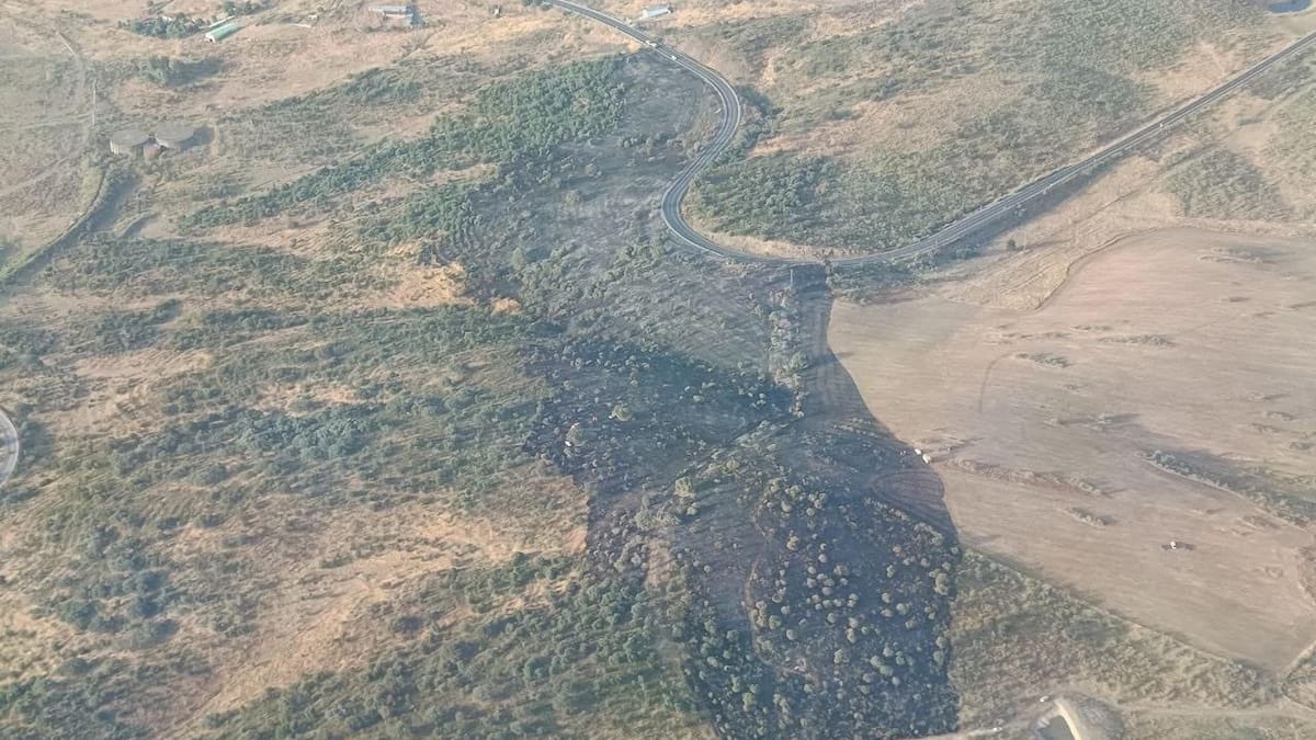 Arden 15 hectáreas en un incendio forestal en Malpartida de Plasencia