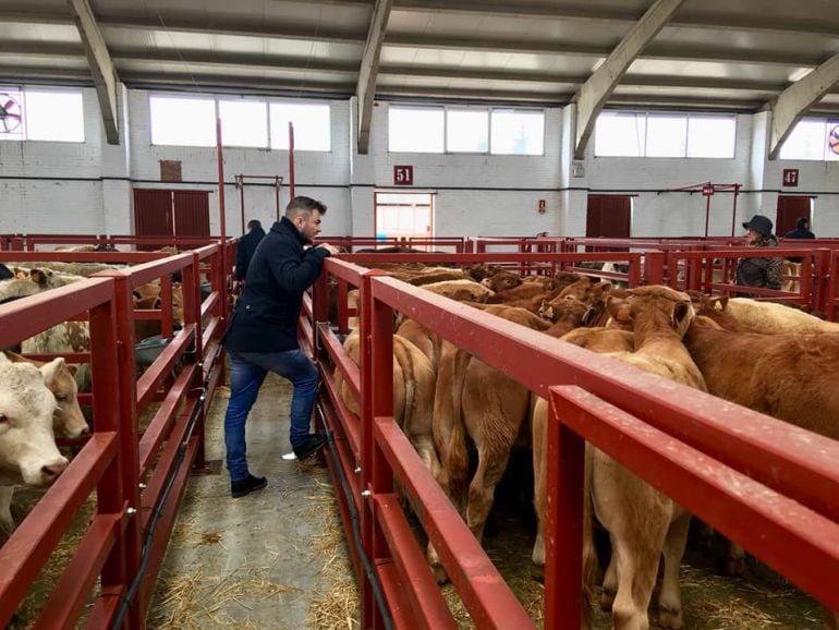 El concejal medinense, Luís Manuel Pascual, en una de las visitas a instalaciones ganaderas