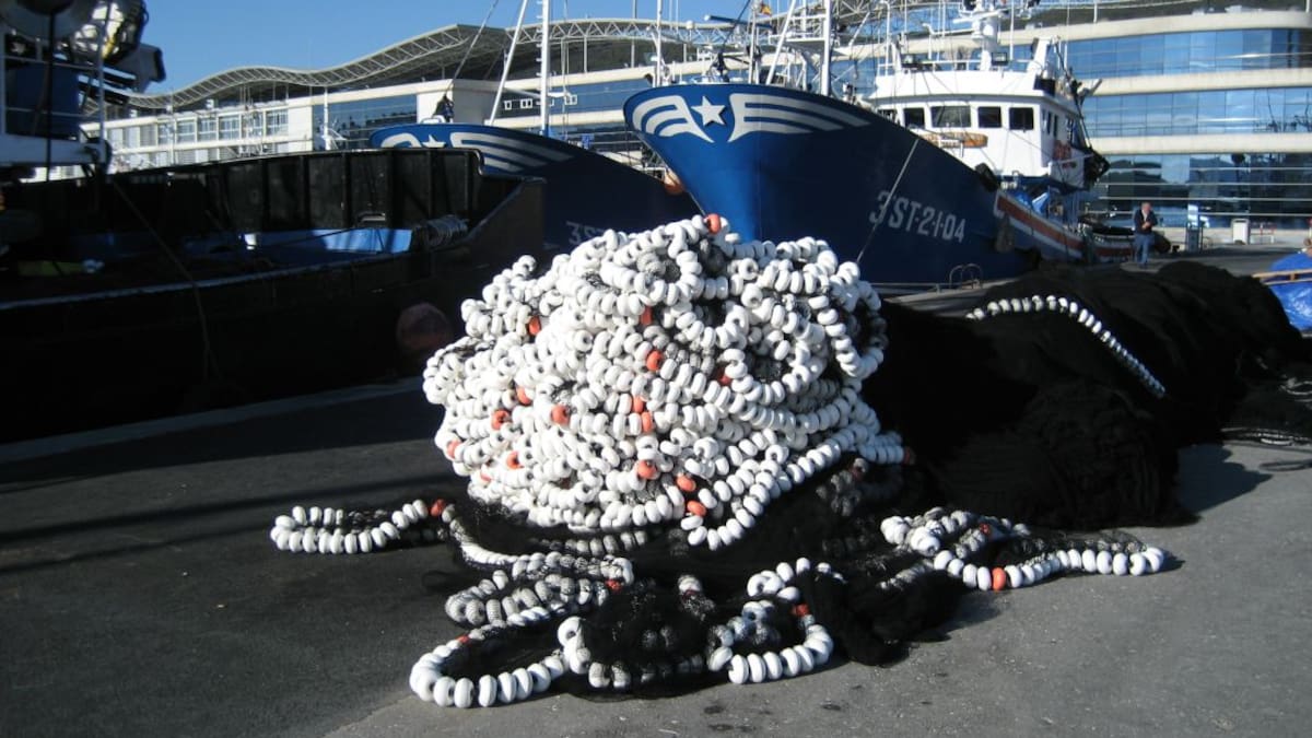 Cantabria califica de "profundo golpe a la pesca" la reducción del 70 por ciento de la cuota de verdel