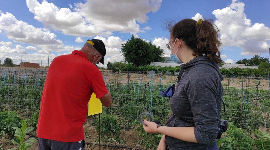 La UAM analiza la conexión entre las personas y la naturaleza a través de la agricultura participativa 