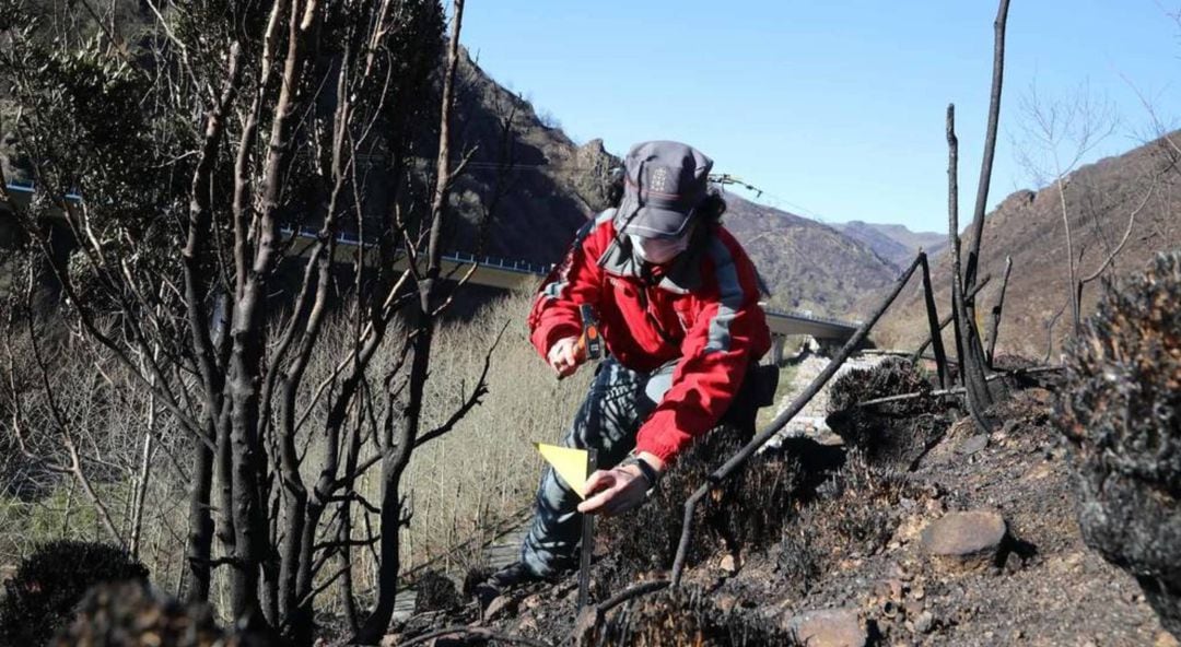 Investigación abierta por la Policía Foral por el incendio originado en Bera