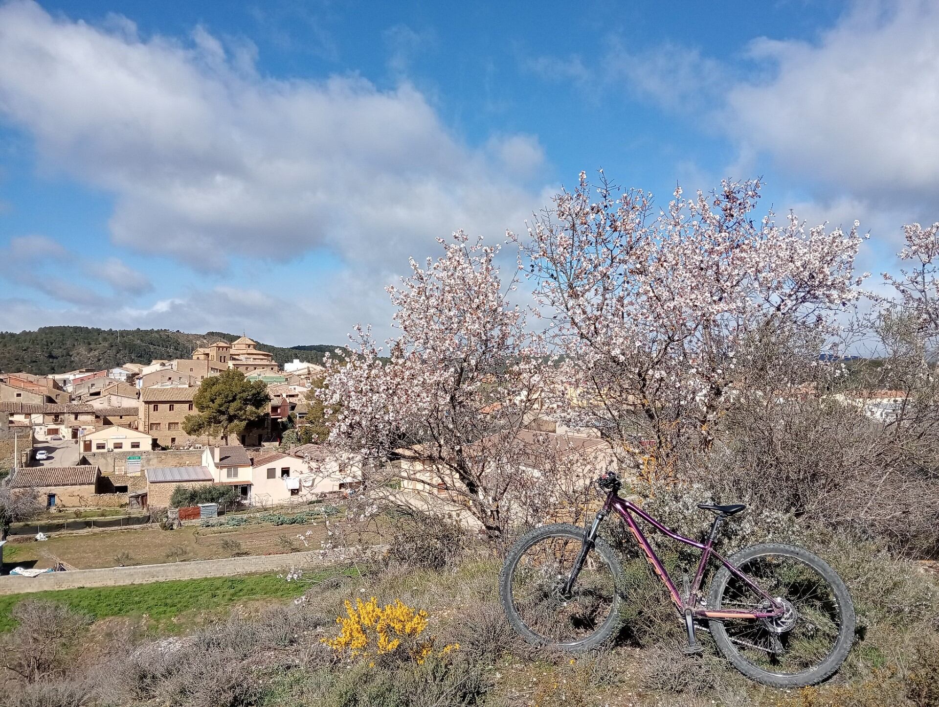 El proyecto Ebike Reino de los Mallos en su paso por los almendros en flor