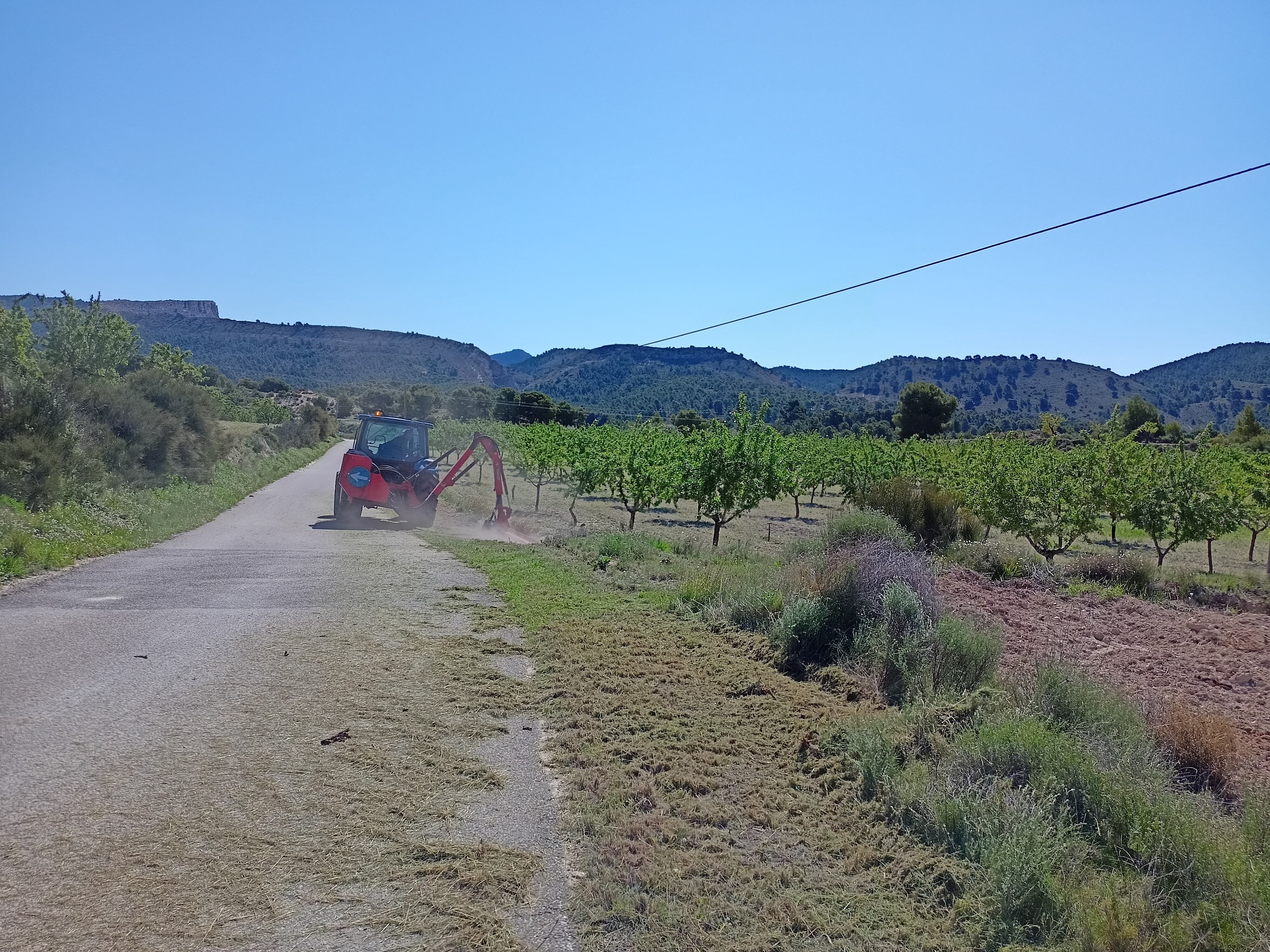 Desbroce caminos Petrer