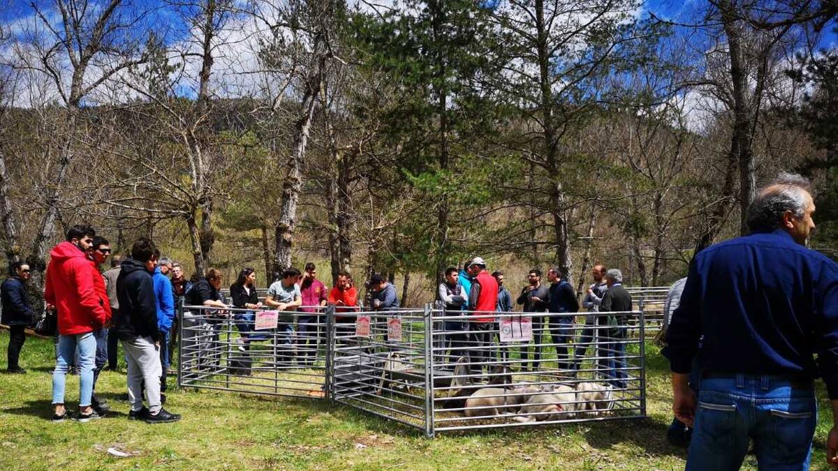 La Trobada, se consolida como punto de encuentro de los vecinos de Montanuy