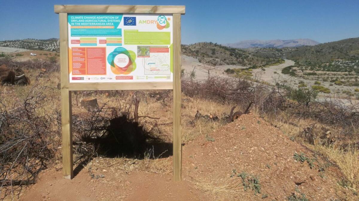 Lorca estará en la Cumbre del Clima con un proyecto de la UMU contra la desertización