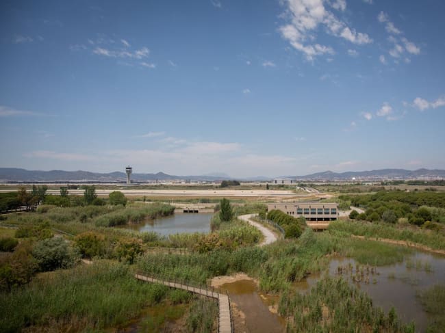 La Ricarda, on hi havia instal·lat un poblat que simulava ser africà