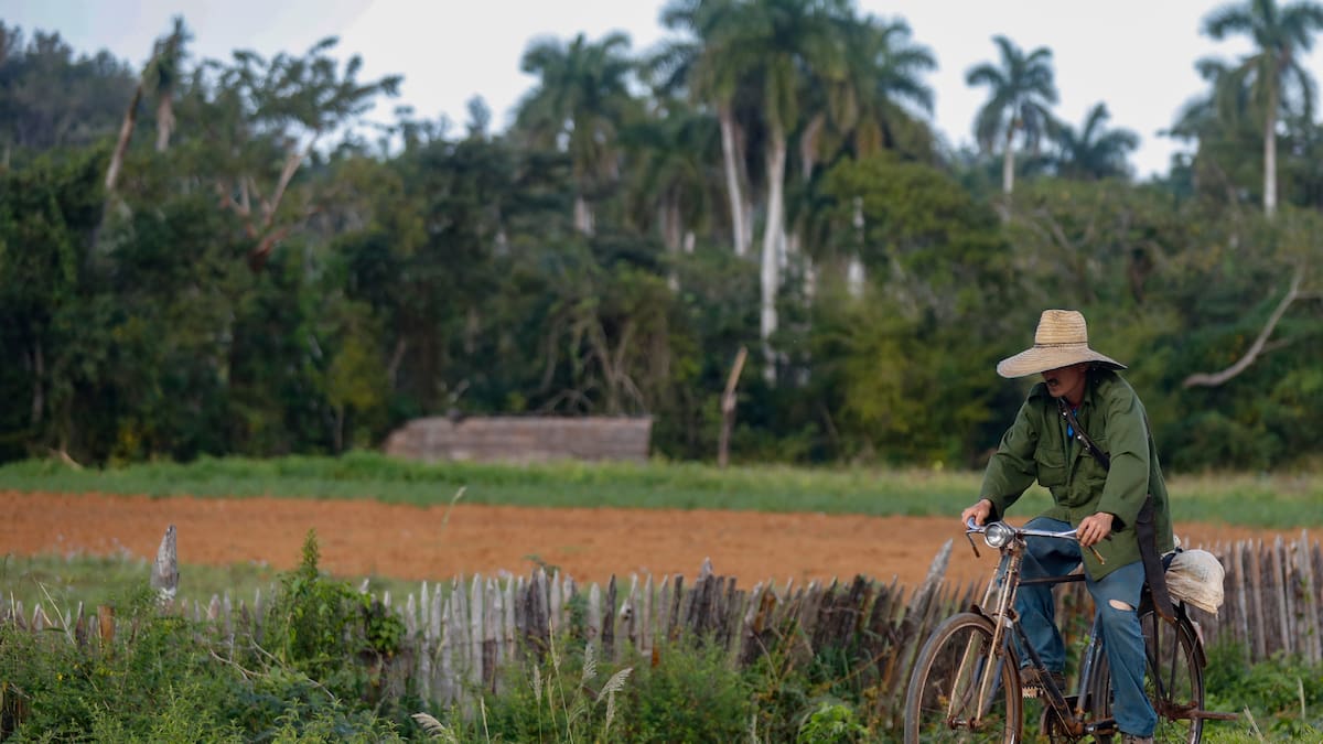 Luis García Montero: "No renunciemos a la esperanza"