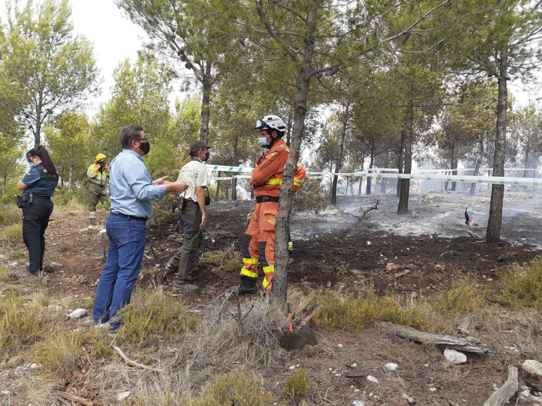 Foto a la zona cremada en l&#039;incendi forestal