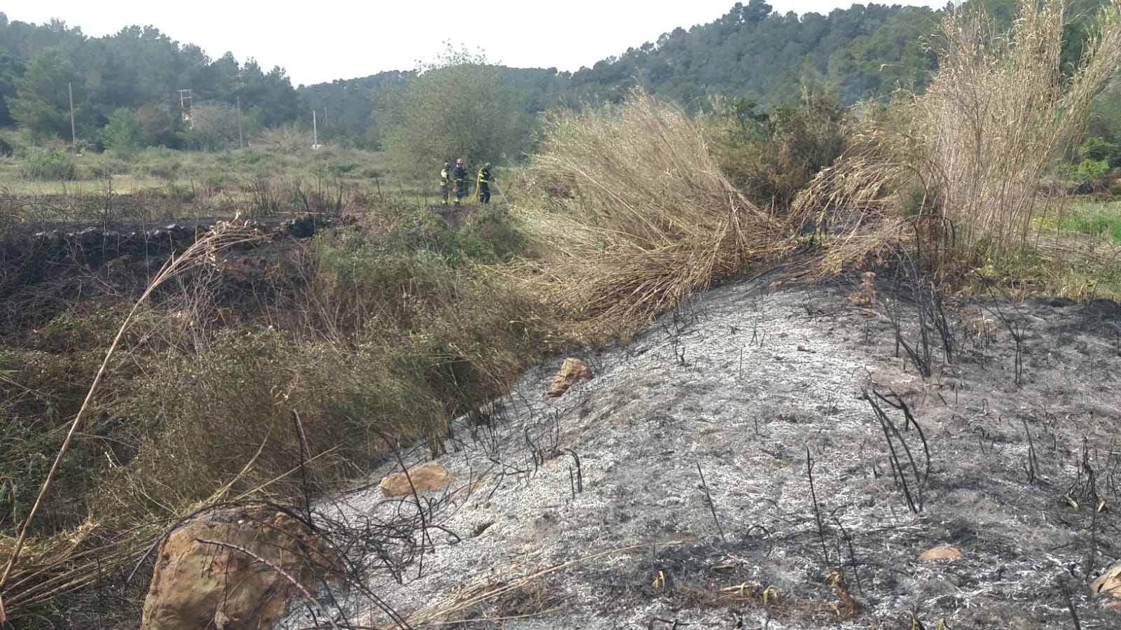 Zona afectada por las llamas