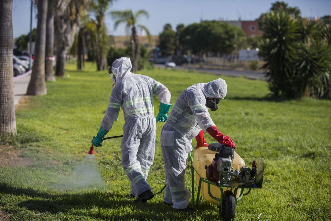 Archivo - Fumigaciones en Coria contra los mosquitos