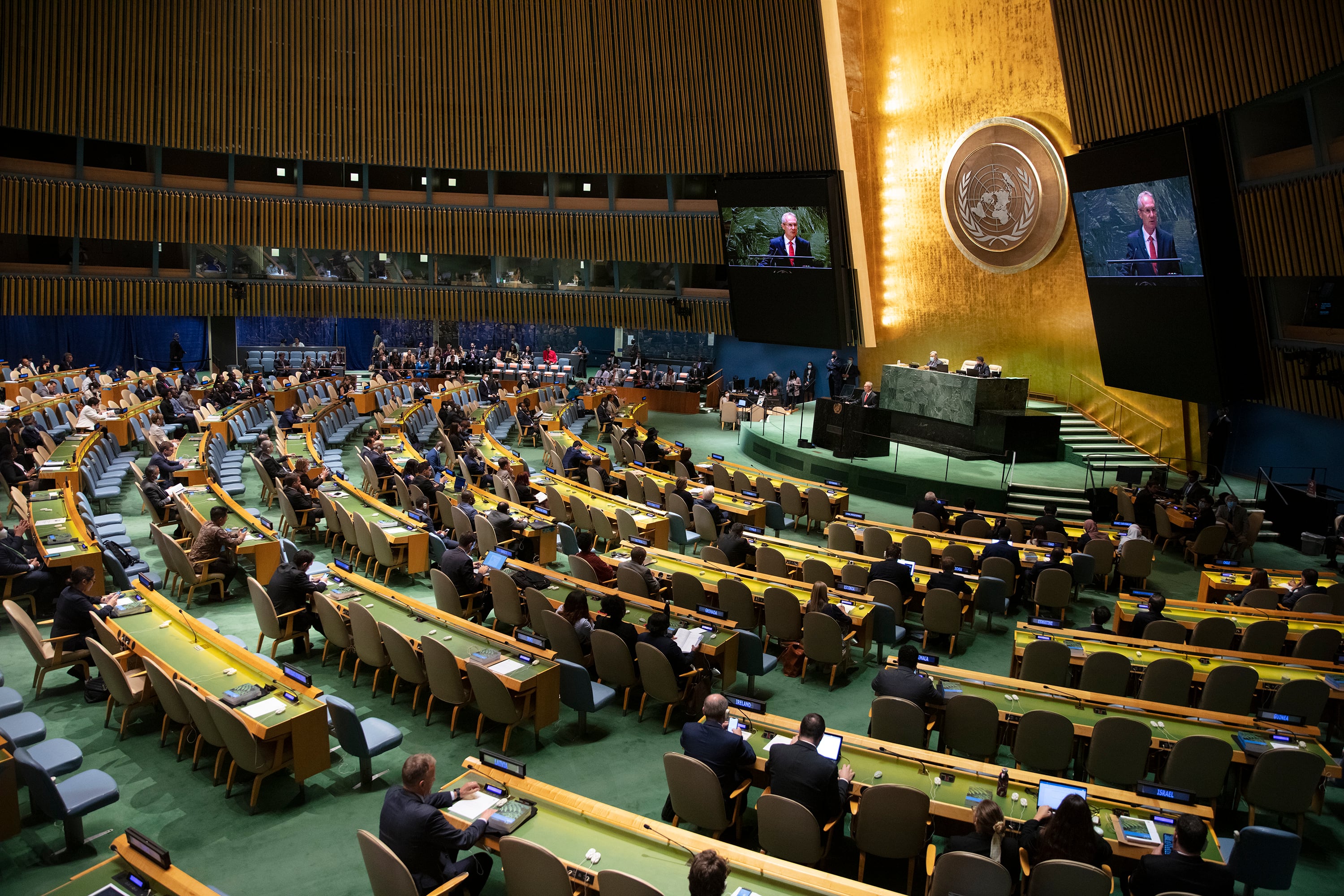 Asamblea General de Naciones Unidas.