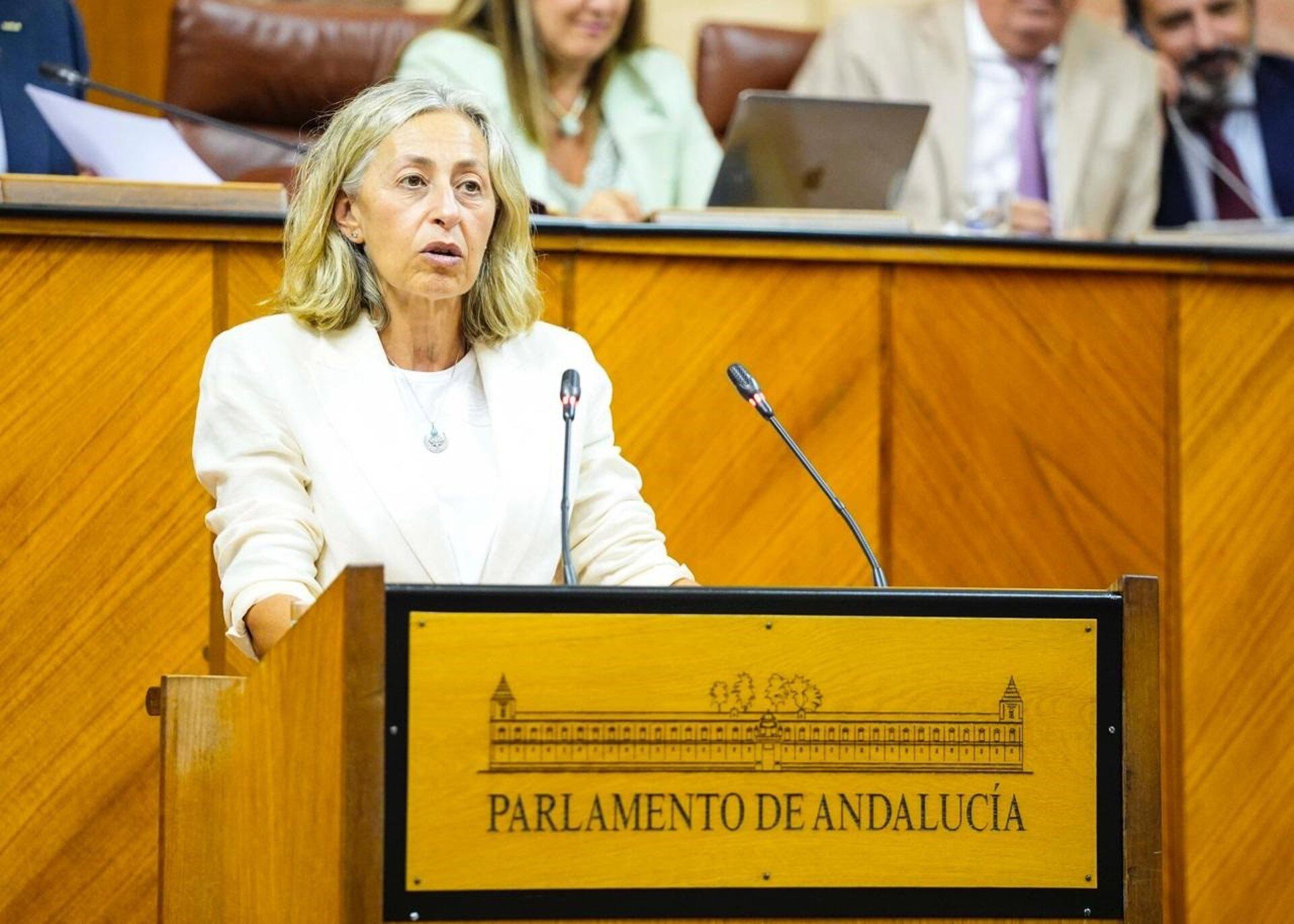 La consejera de Salud, Rocío Hernández durante su comparecencia en el Pleno del Parlamento.