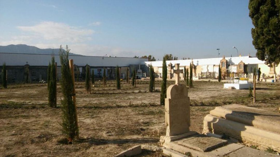 Jardín de los cipreses en el cementerio de Sax 