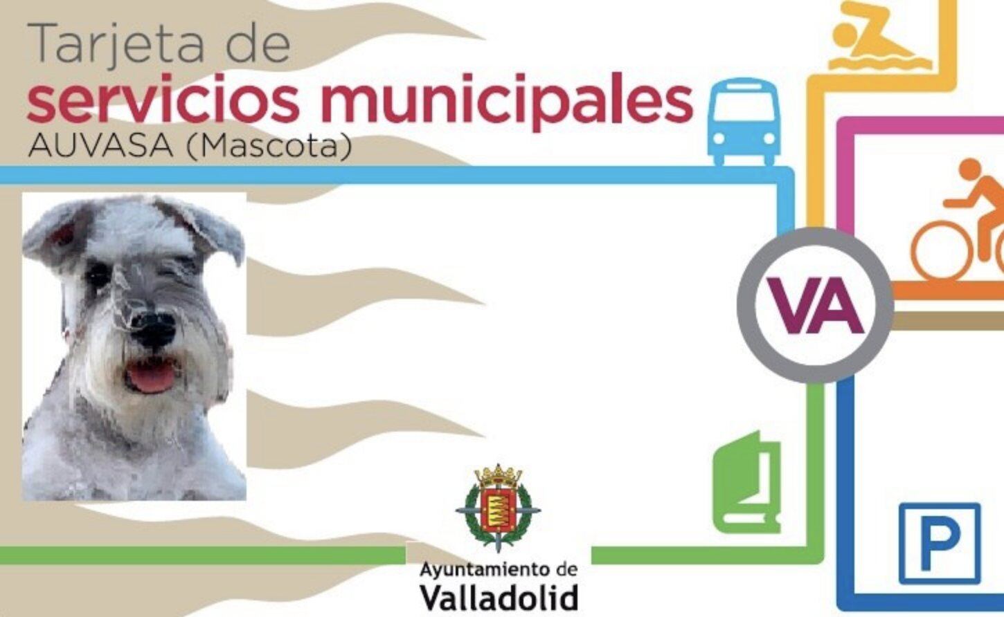 Reproducción de uno de los bonos necesarios para poder subir con nuestro perro al transporte público de Valladolid.