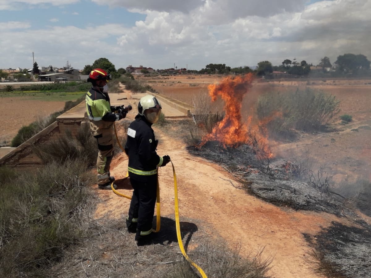 La alcaldesa dicta un bando de eliminación de rastrojos dirigido a los propietarios de solares