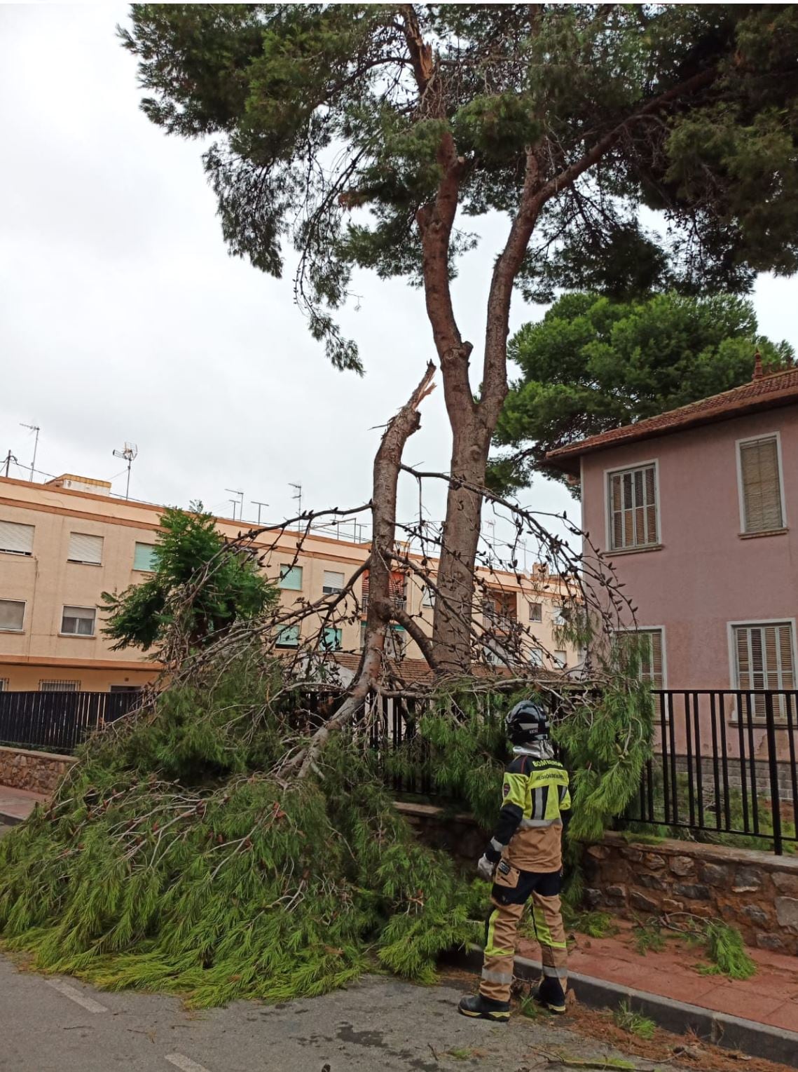 Trabajos para retirar una rama tronchada por el viento en San Javier (Región de Murcia)