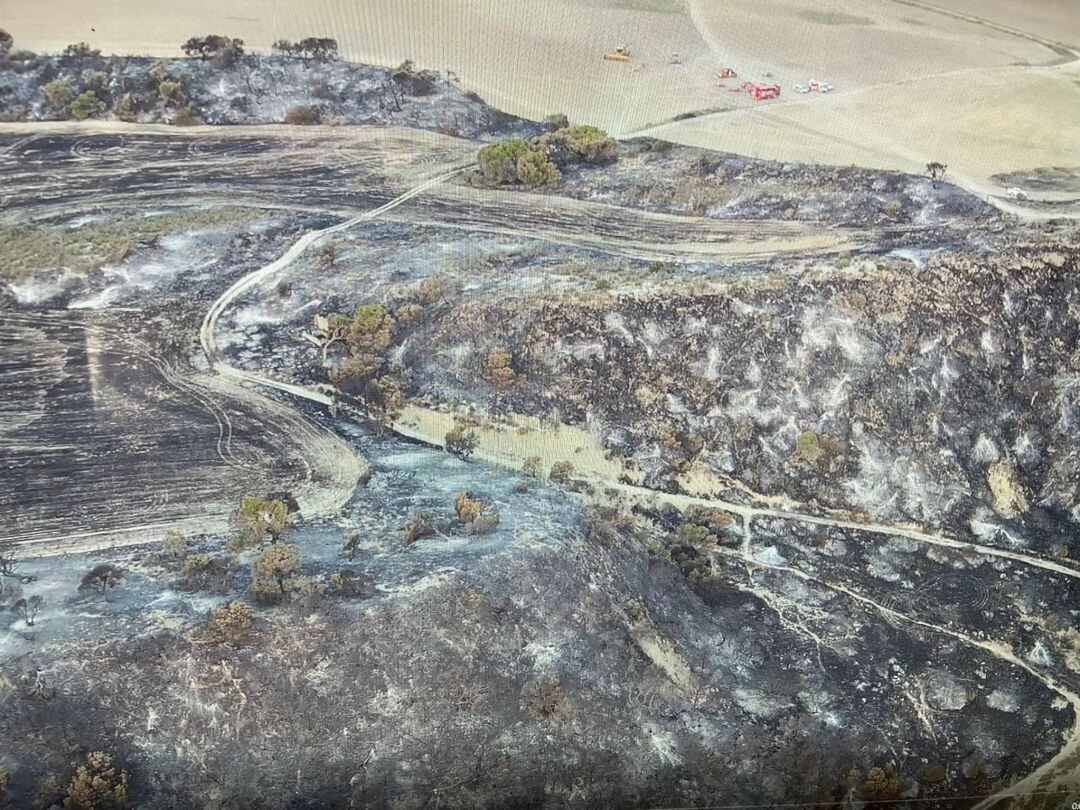 Incendio en el Vedado de Eguaras