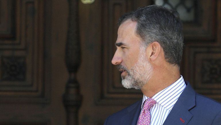 El Rey Felipe VI 