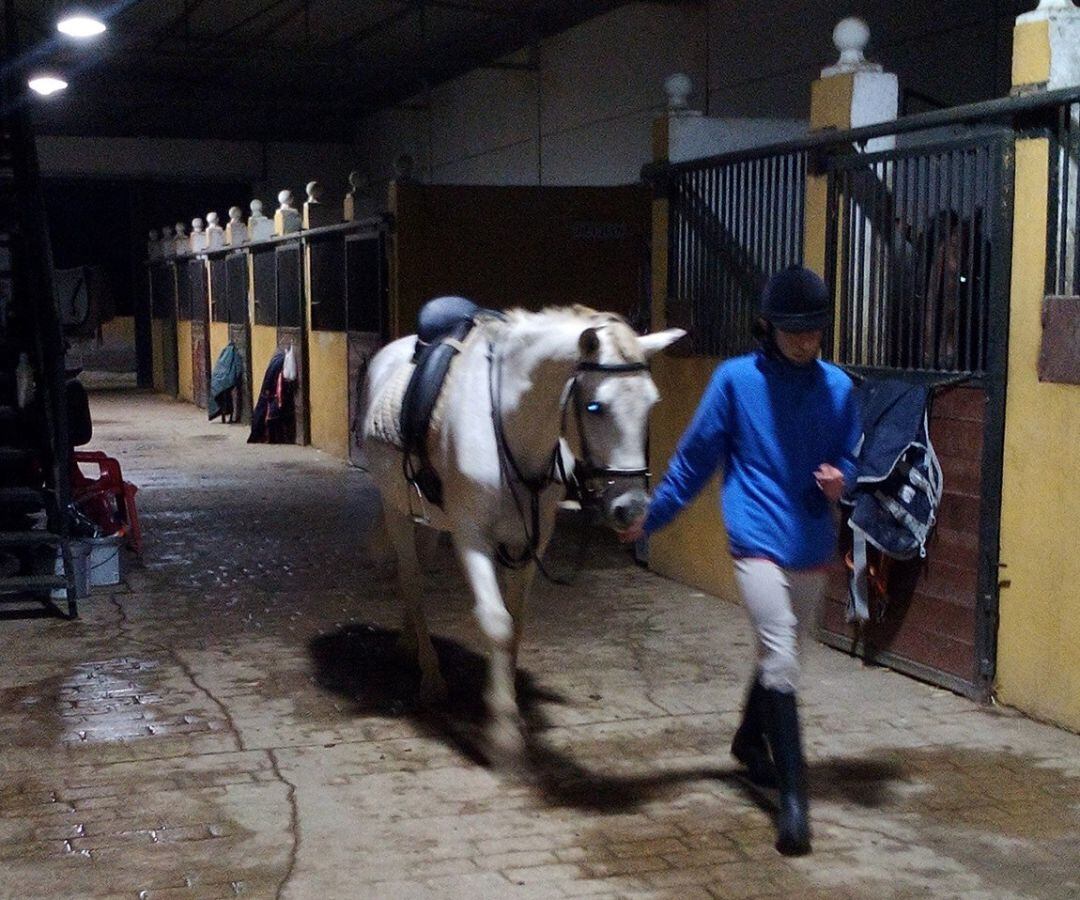 La Asociación de Hipoterapia de Andújar lleva a cabo actividades de terapia con caballos para niños con discapacidad.