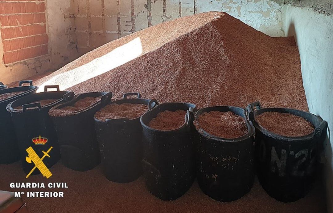 Semillas interceptadas