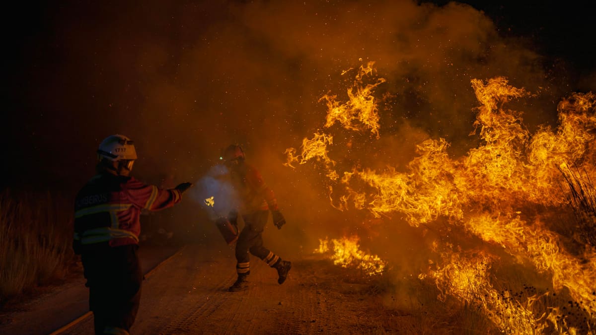 Un gallego entre los mejores del mundo: World Press Photo por retratar los incendios