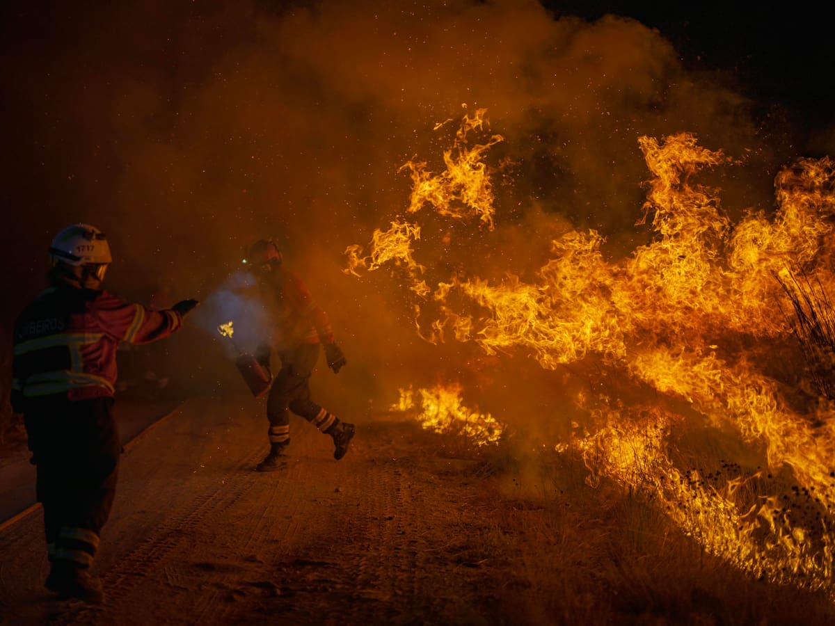 Un gallego entre los mejores del mundo: World Press Photo por retratar los incendios