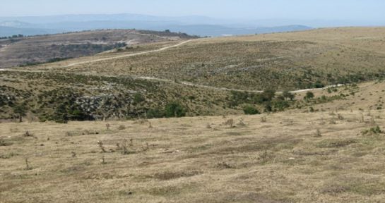 Los campos de Araba notan la ausencia de precipitaciones
