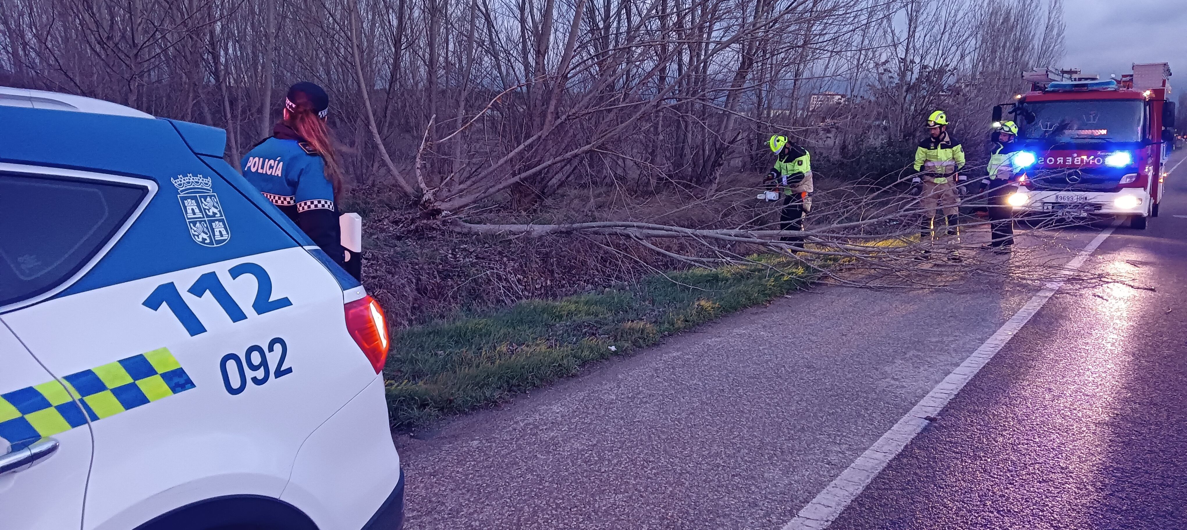 Bomberos y Policía Local acudían a primera hora de esta mañana a retirar un árbol caído frente a la Harinera Arandina