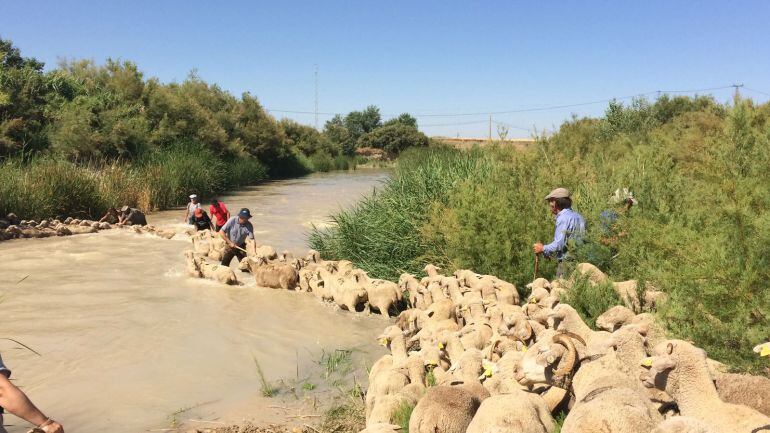 La dificultad del paso del río hizo necesaria la colaboración de todos 