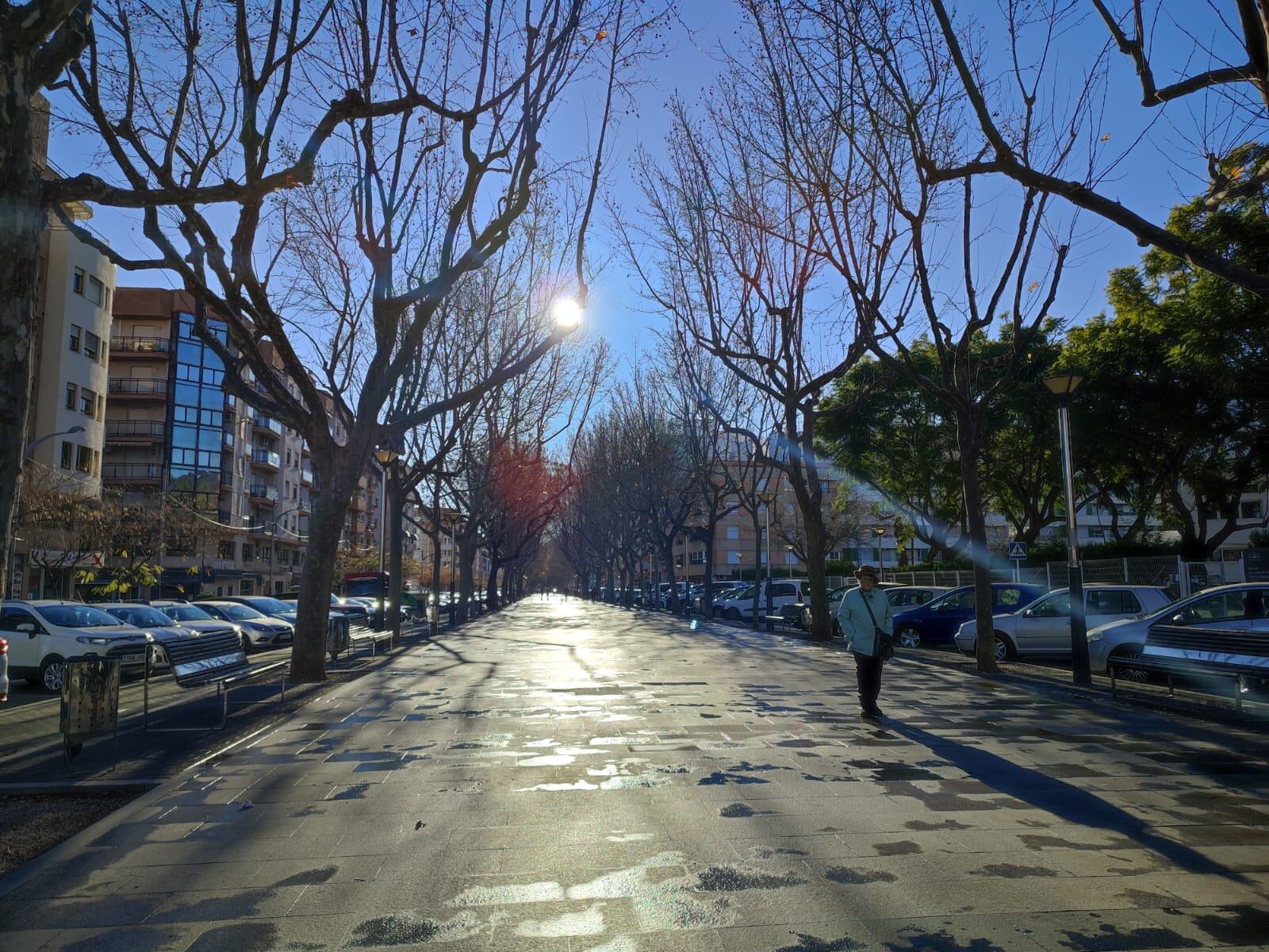 El paseo de Oliva, todavía húmedo por el rocío de la noche.