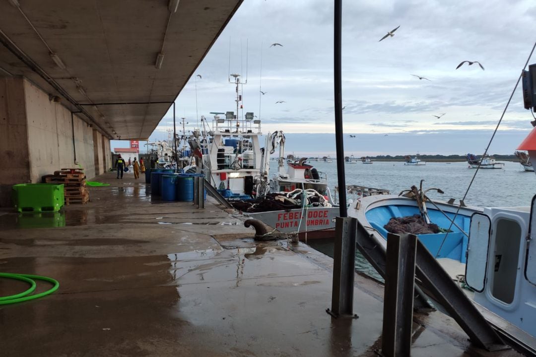 Lonja pesquera de Punta Umbría 