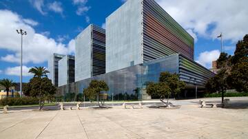 El Juzgado de Violencia investiga el posible asesinato de una mujer en Las Palmas de Gran Canaria