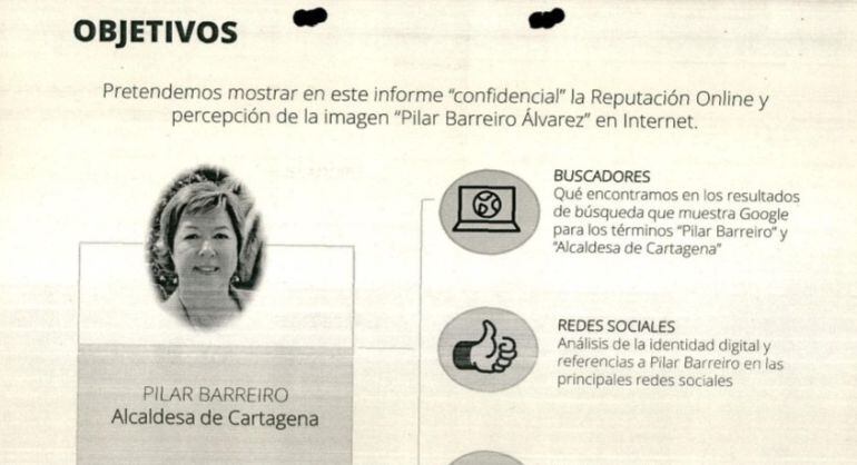 Informe sobre la imagen de Pilar Barreiro realizado por Alejandro de Pedro