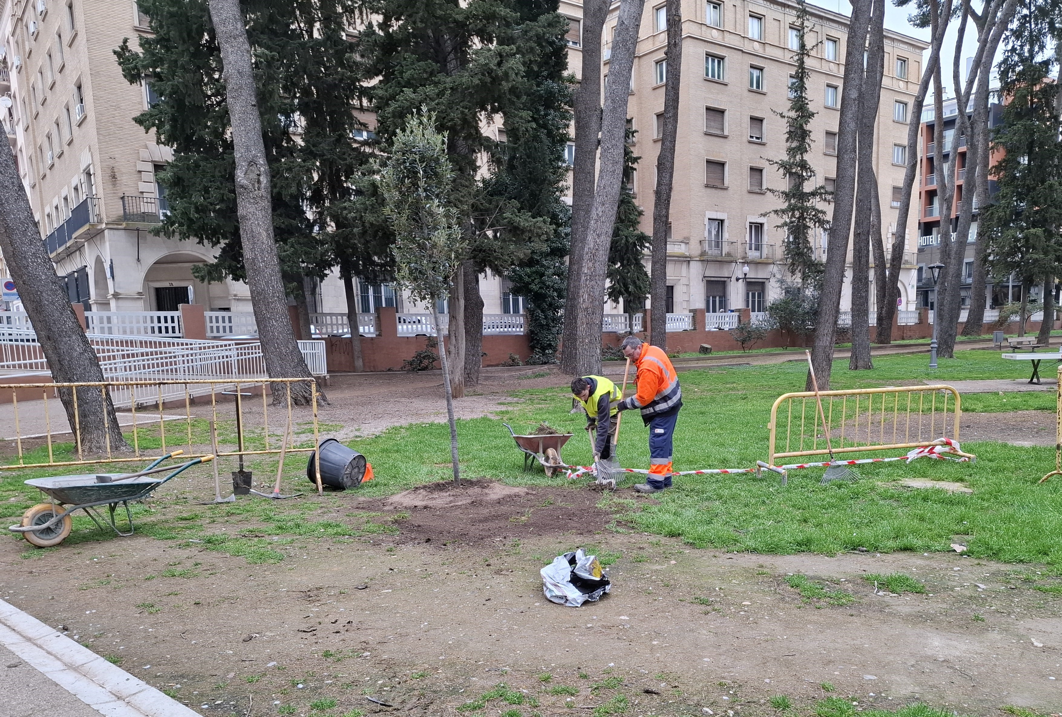 Plantación de árboles en el parque Miguel Servet