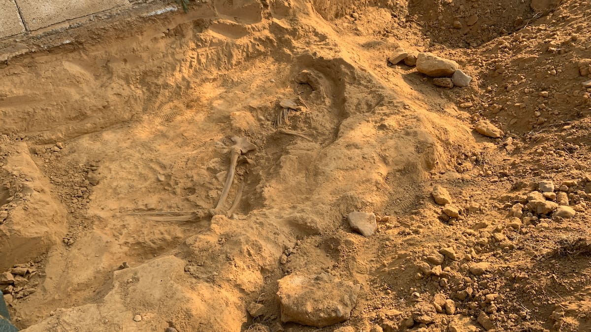 Localizados los restos de un represaliado "lanzado" a una fosa extramuros en el cementerio de Fuentesnuevas