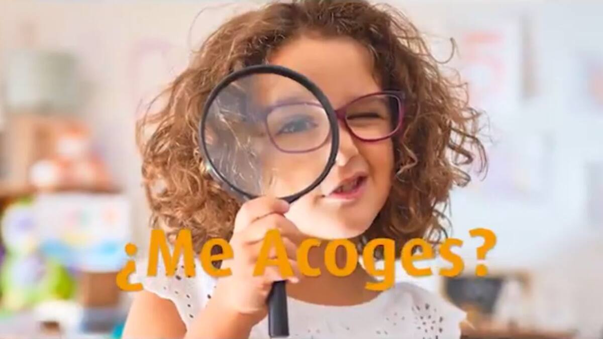 Doce menores esperan para ser acogidos por familias en Ávila