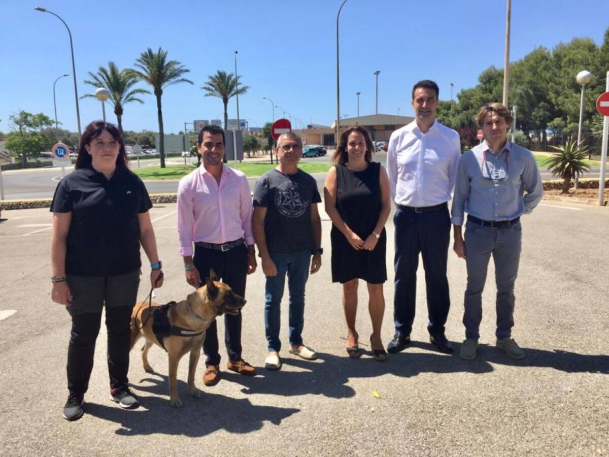 El Consell paga una unitat canina de vigilància a l'aeroport
