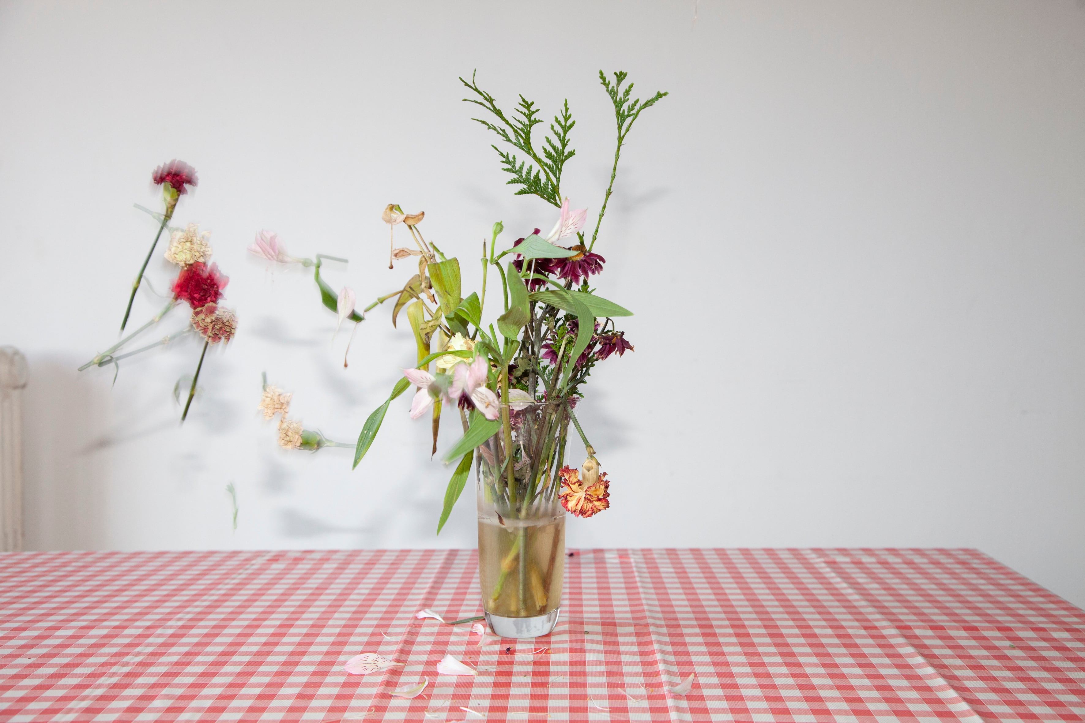 ÁNGELA BONADIES - Galería ABRA (Caracas, VE)