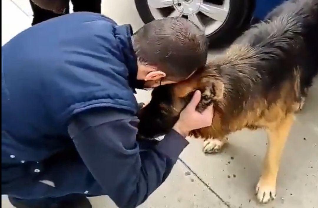 El perro se reencuentra con su dueño tras siete años.