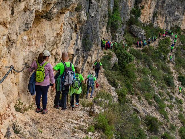 Aviana en Cortes de Pallás