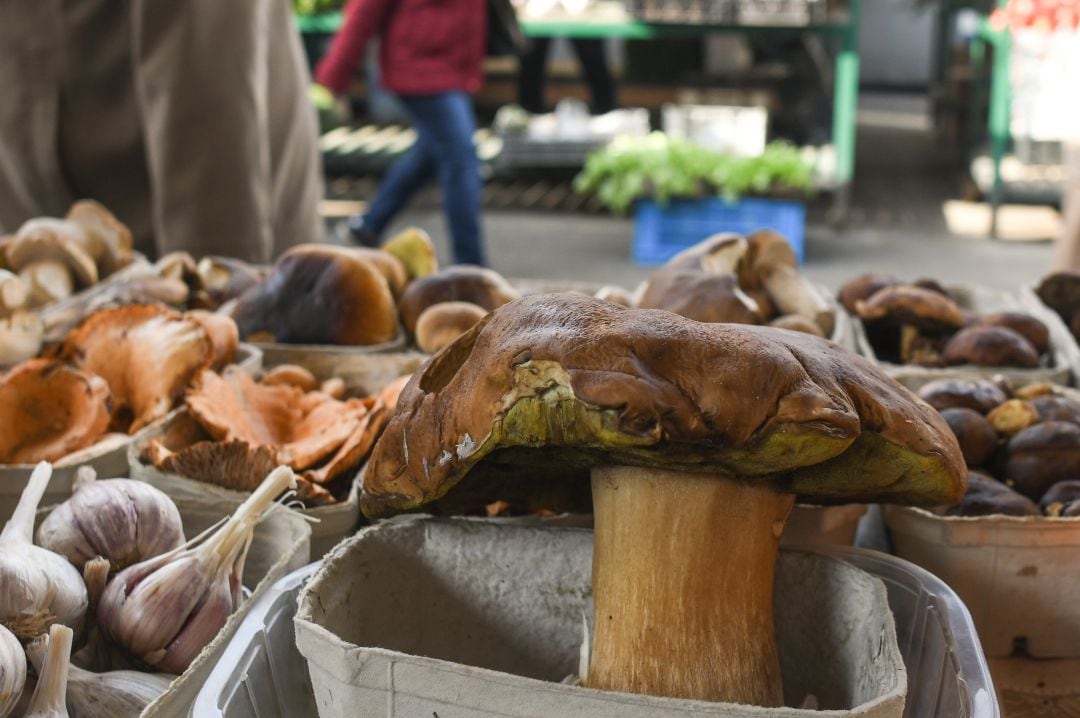 Setas y hongos a la venta en un mercado. 