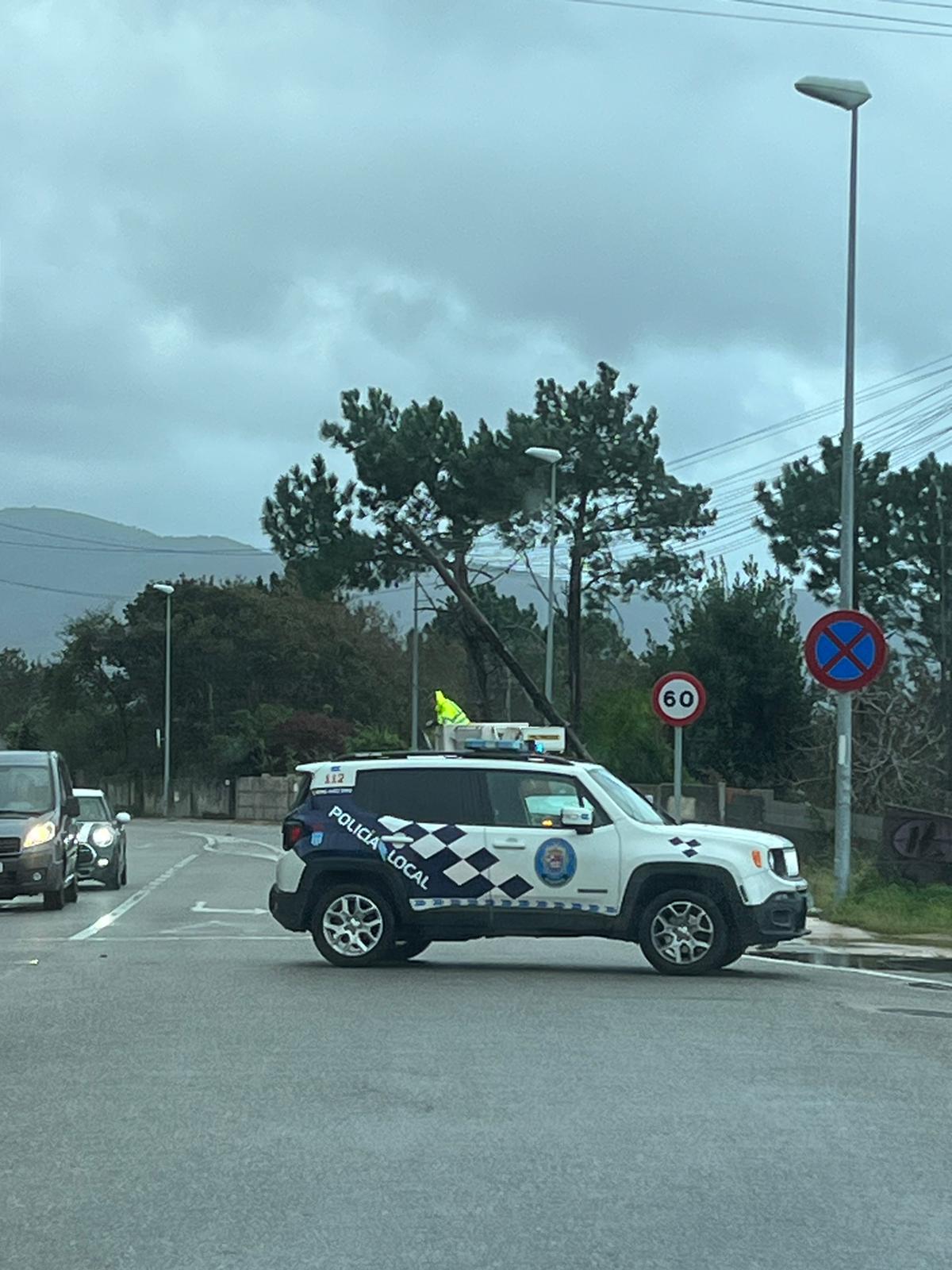 Incidencias como árboles sobre el tendido eléctrico está provocando cortes de luz durante estas jornadas en Vigo