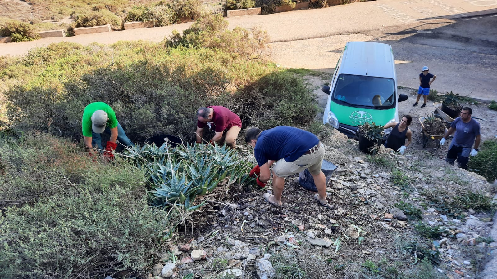 Diez años sembrando futuro: ARBA Cartagena–La Unión celebra su primera década recuperando los montes de la comarca