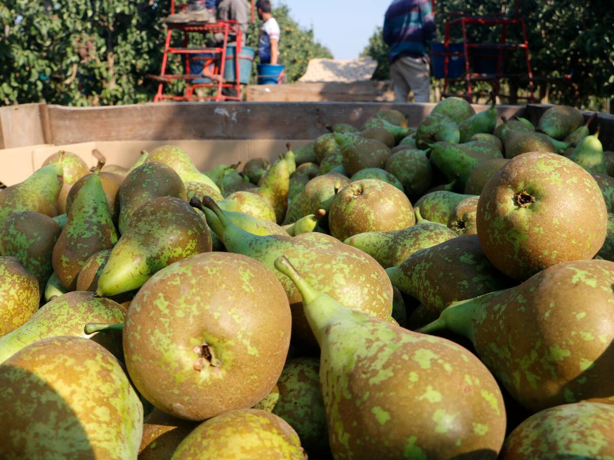 La inflació cau al 2,9% al juliol a les comarques de Ponent i l'Alt Pirineu i Aran