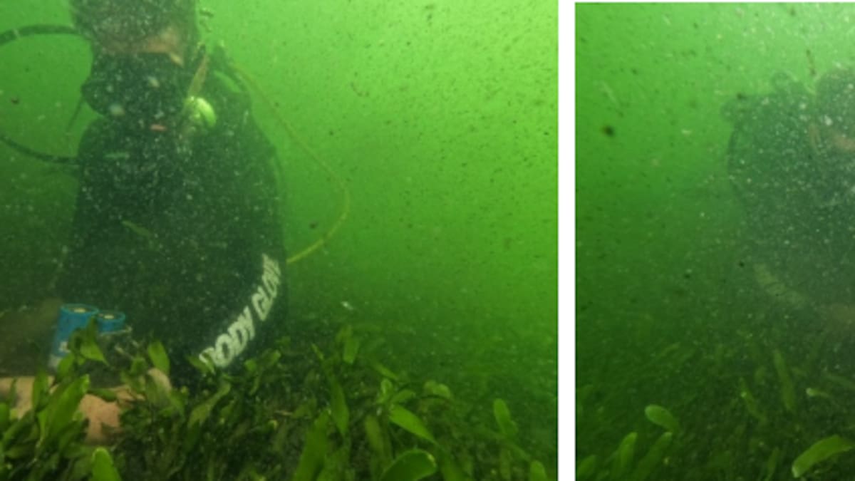 Entrevista a Juan Manuel Ruiz, investigador del EO-CSIC y responsable del proyecto BELICH para la monitorización del Mar Menor