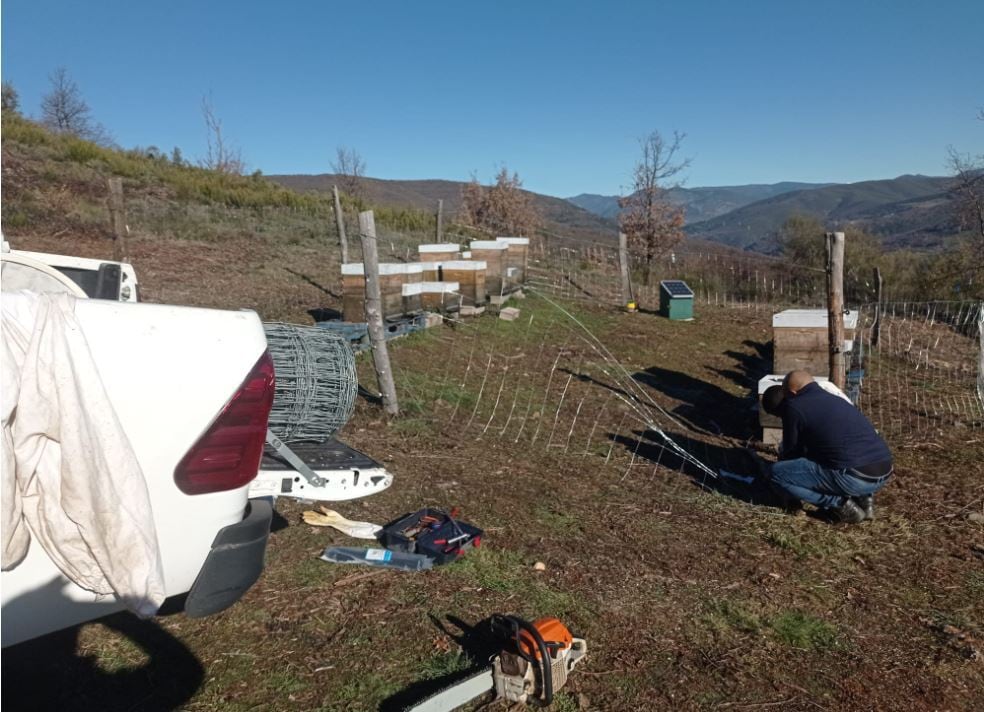 Experiencias con colmenas en Asturias