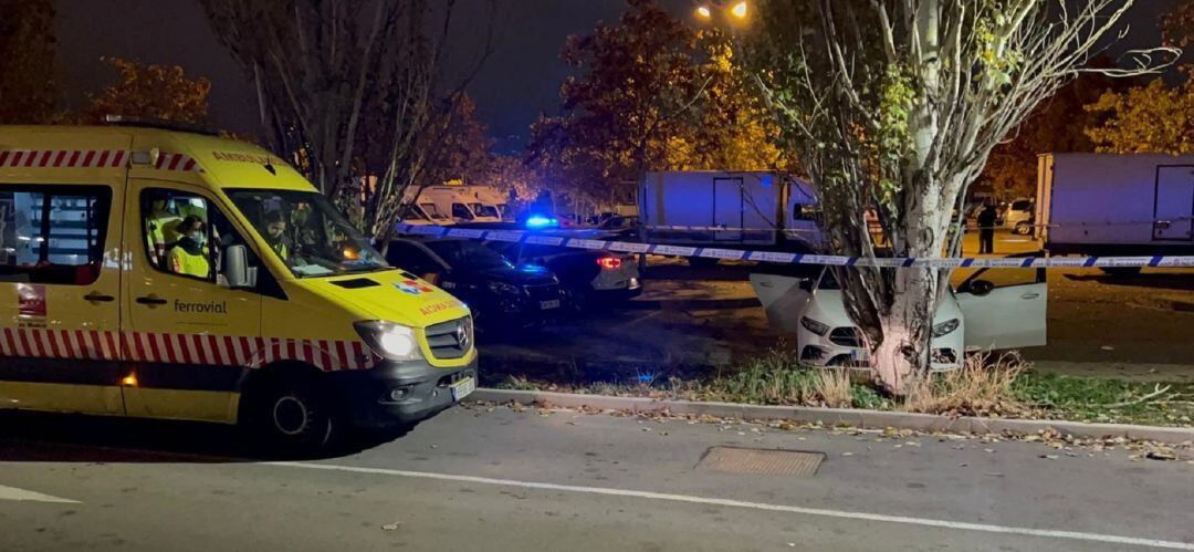 El coche parado frente a un árbol en Getafe