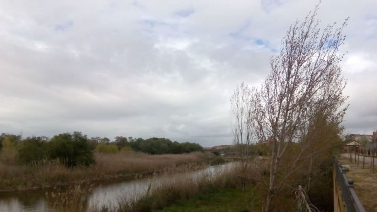 La Plataforma lamenta la aprobación de un nuevo trasvase